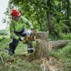 Motosserra a Bateria Dewalt XR Flexvolt 54V 9Ah